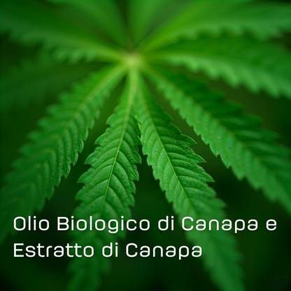 Hemp Hydra Glow | Crema Lenitiva con Canapa Bio e Niacinamide